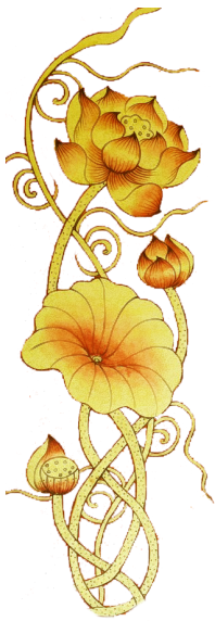 Goldenlotusthaispa
